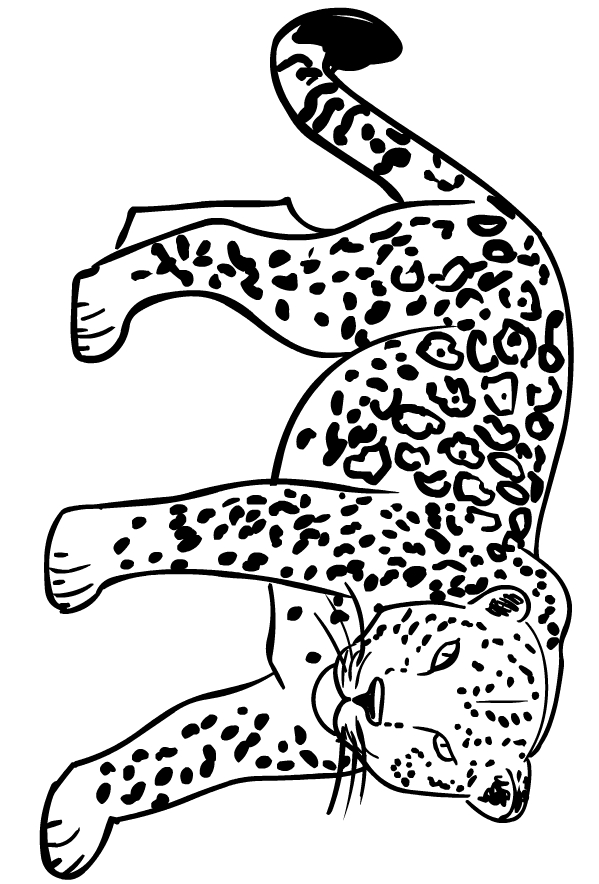 Jaguars drawing to print and color