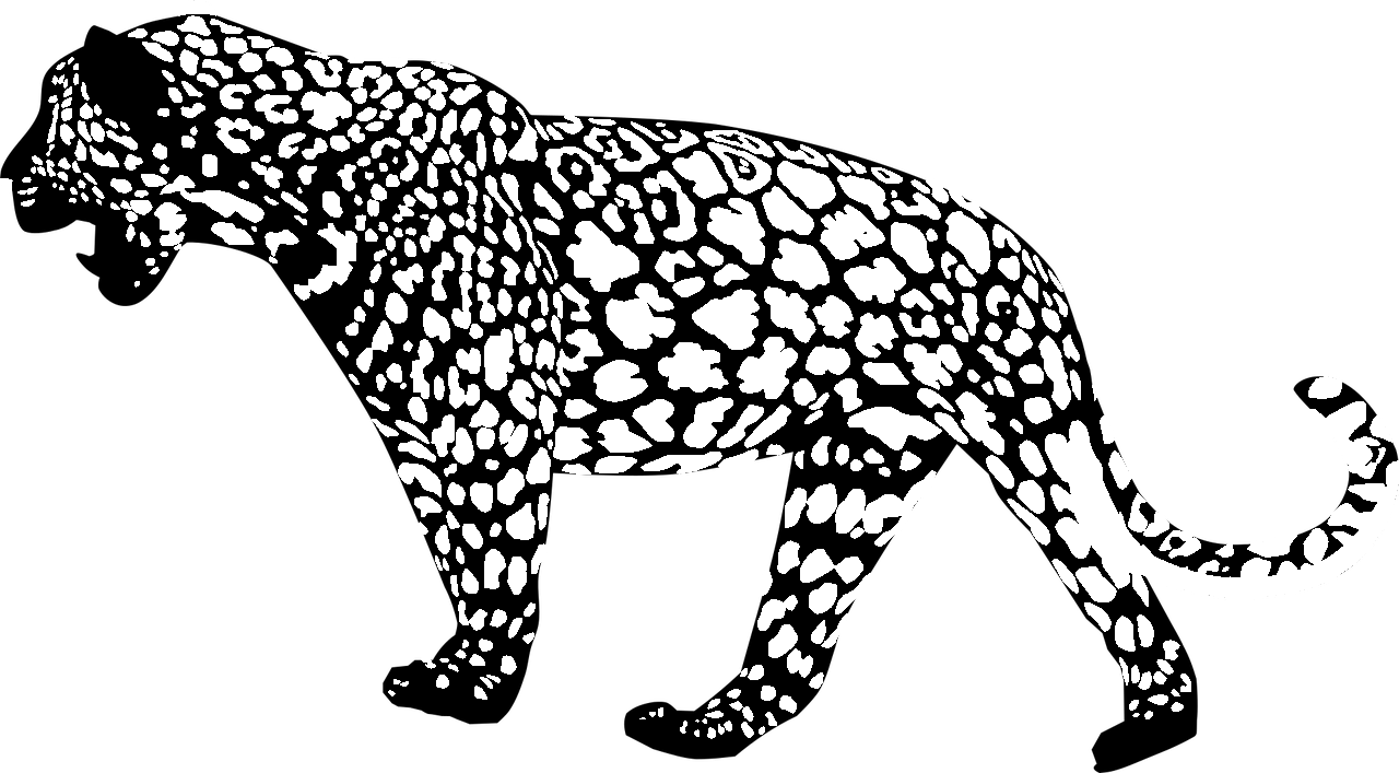 Coloring page of a jaguar