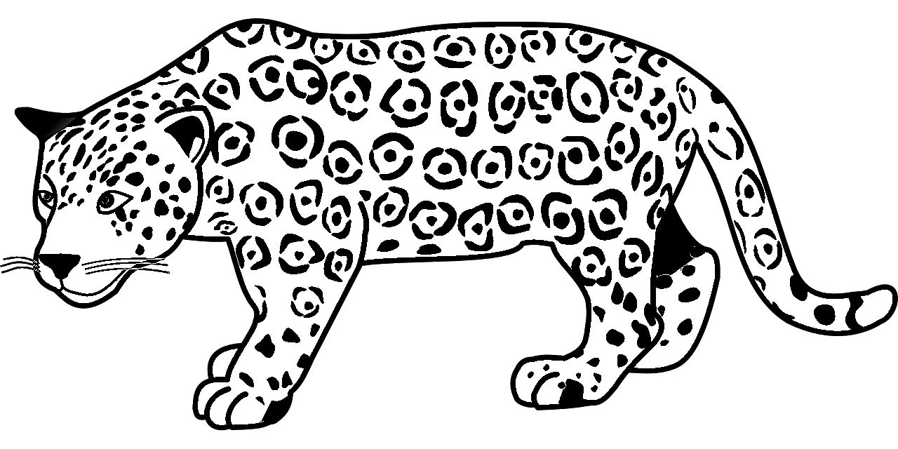 Disegno da colorare di testa di giaguaro stile cartoon  