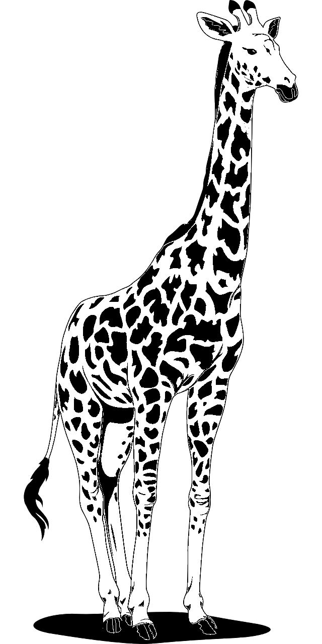 Disegno da colorare di giraffa realistica
