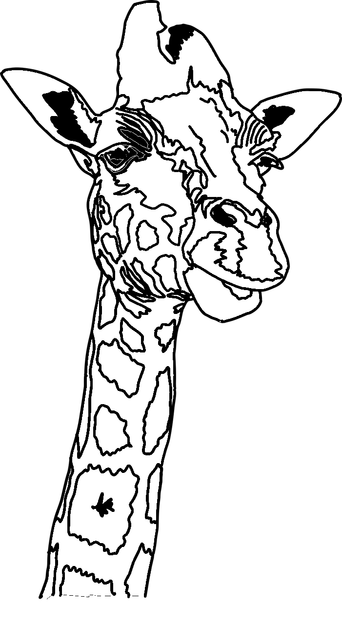 Disegno da colorare di testa di giraffa realistica