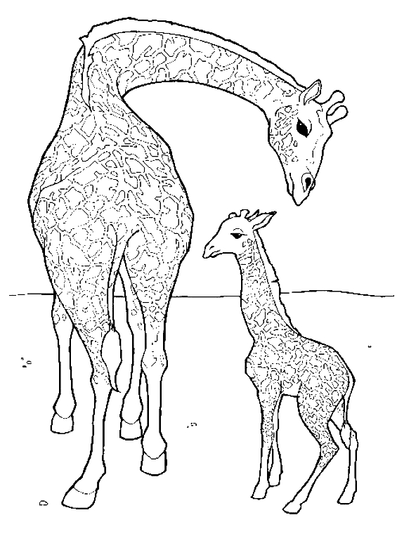 Dibujo 2 de jirafas para imprimir y colorear