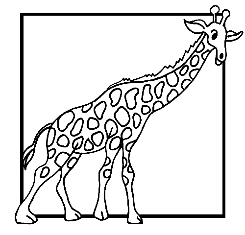 Disegno 4 di giraffe da stampare e colorare