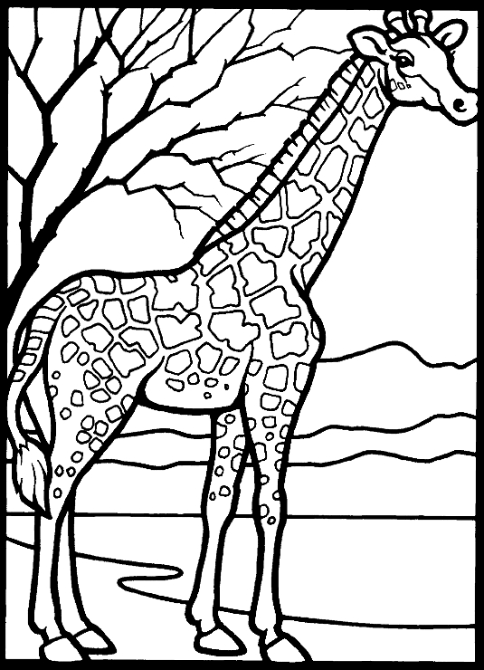 Disegno 5 di giraffe da stampare e colorare