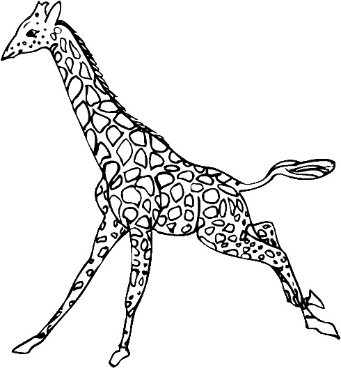 Desenho 7 de Girafas para imprimir e colorir