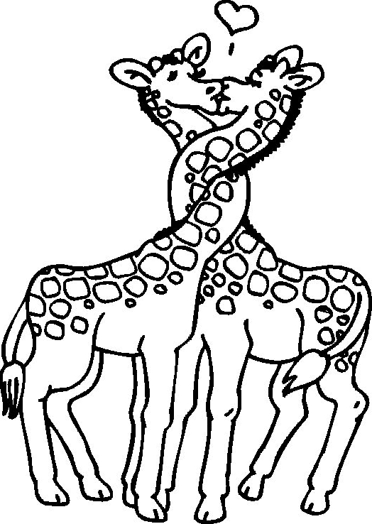 Desenho 9 de Girafas para imprimir e colorir