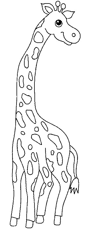 Tekening van 16 giraffen om af te drukken en in te kleuren