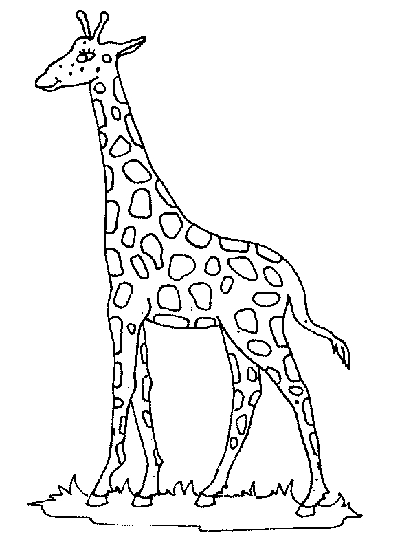 Desenho 20 de Girafas para imprimir e colorir