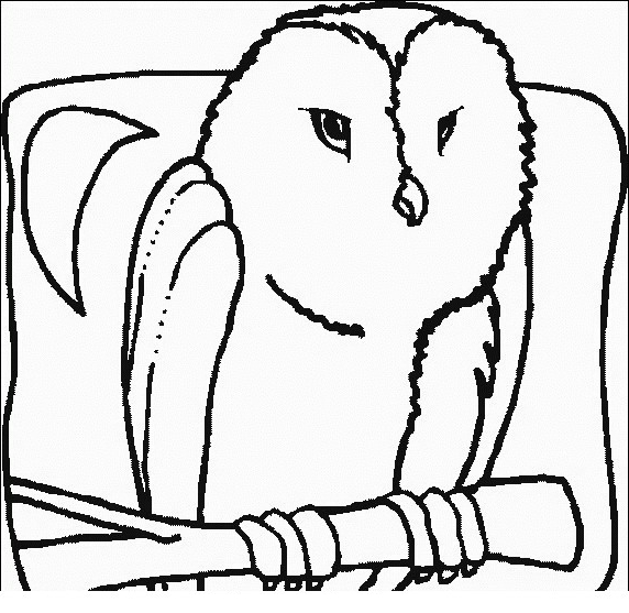 Drawing 6 from owls to print and coloring