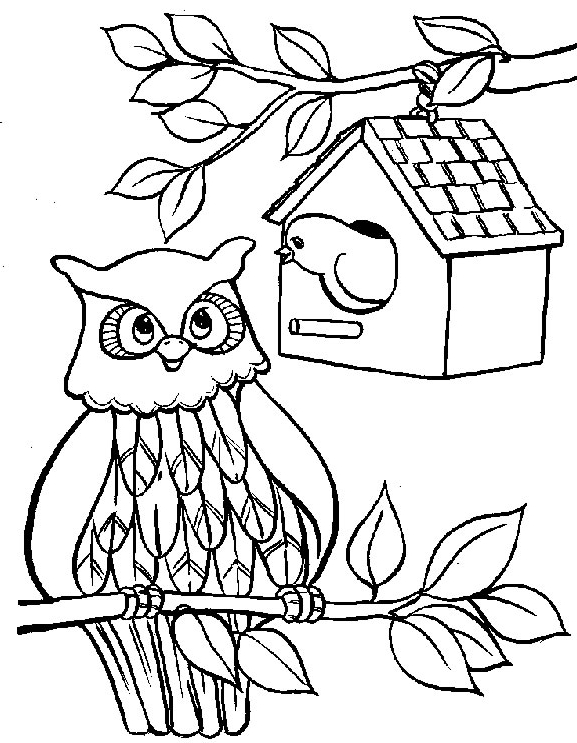 Drawing 16 from owls coloring page to print and coloring