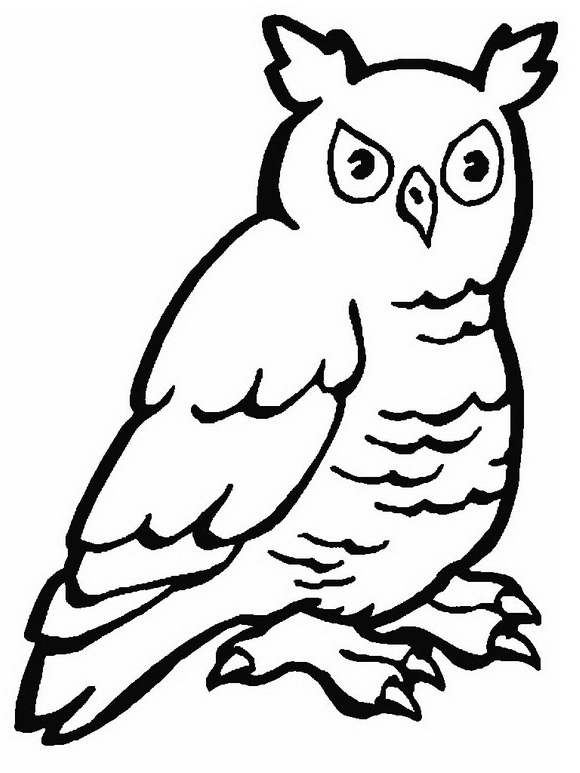 Drawing 17 from owls coloring page to print and coloring