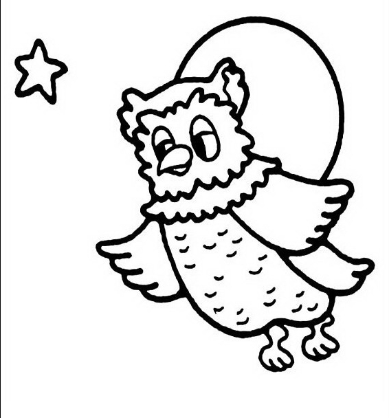 Drawing 20 from owls coloring page to print and coloring