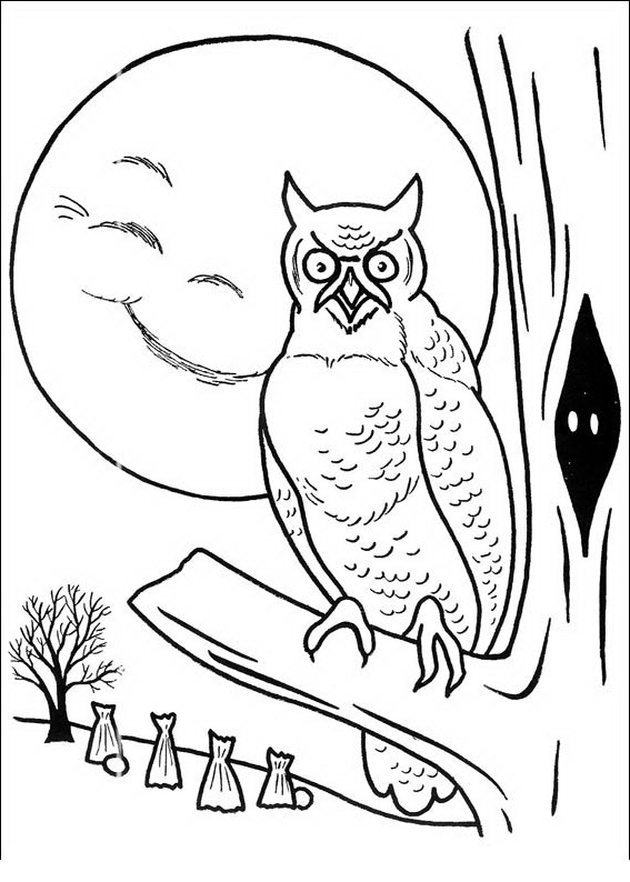 Drawing 21 from owls coloring page to print and coloring