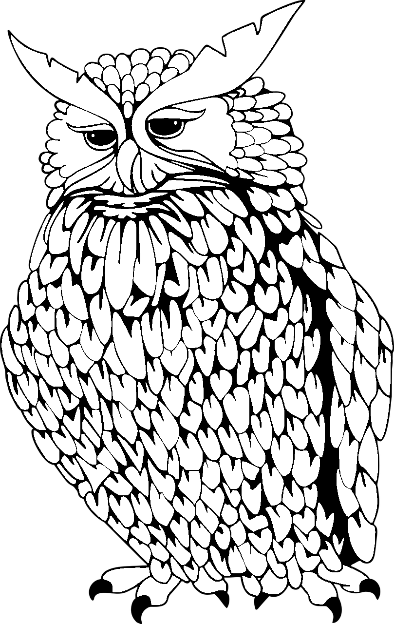 Coloring page of an owl