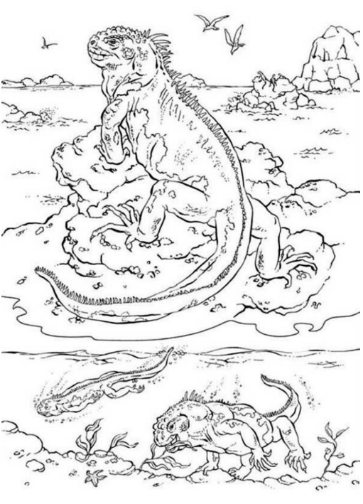 Drawing 3 from iguanas coloring page to print and coloring