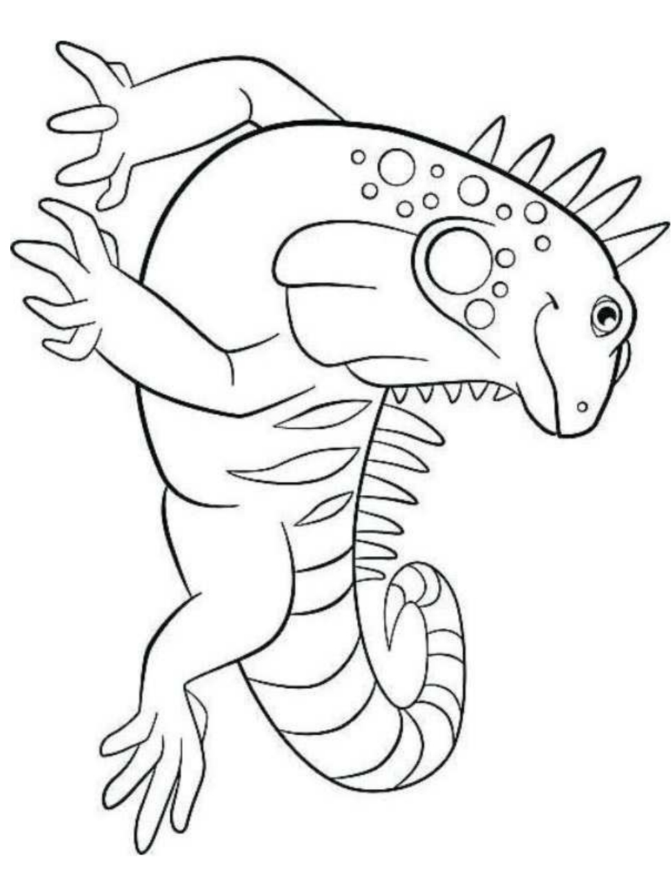Desenho 5 de iguanas para imprimir e colorir