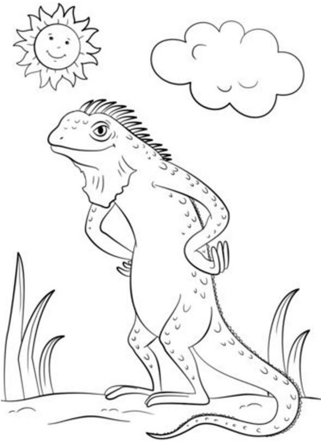 Drawing 10 from iguanas coloring page to print and coloring