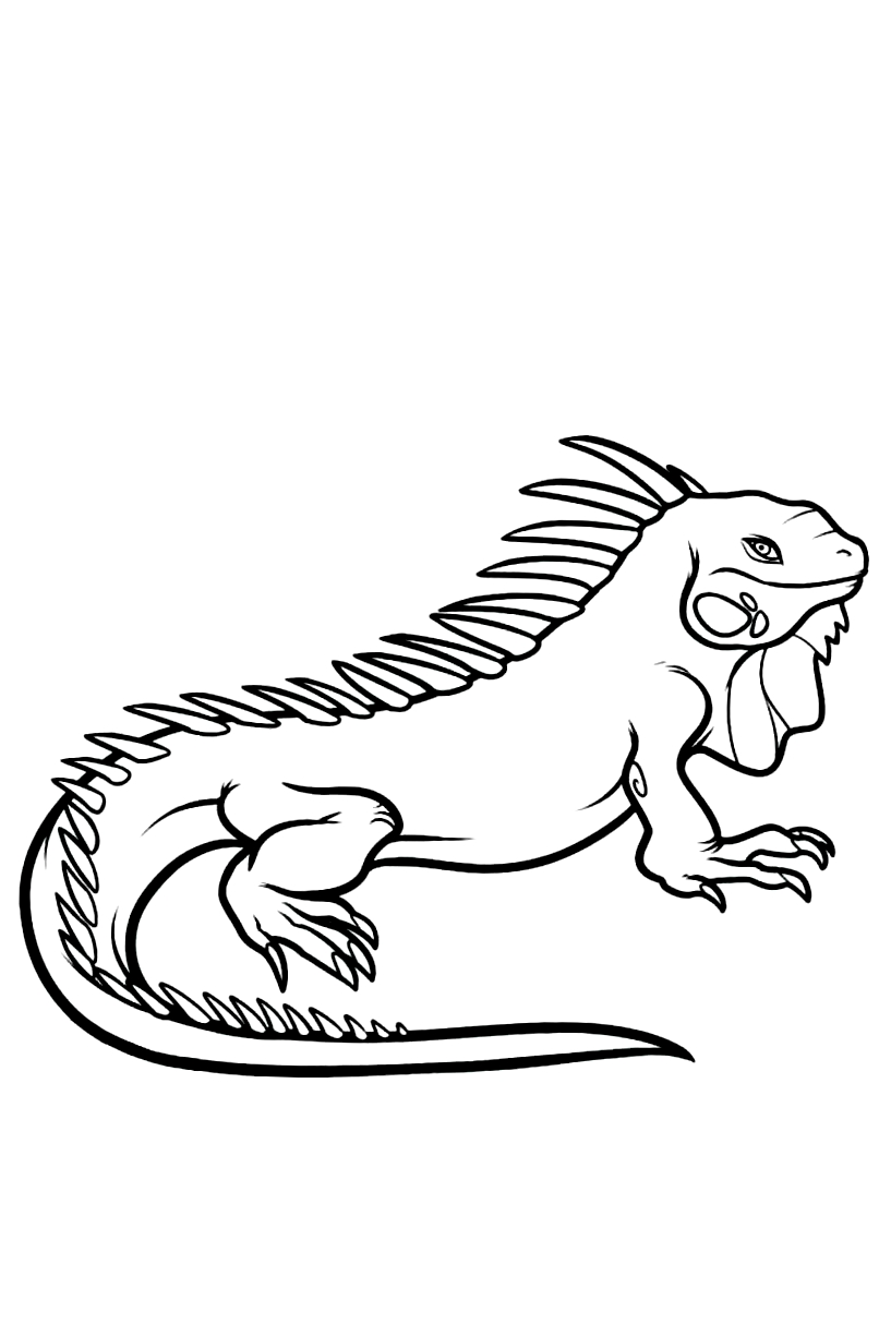 Dibujo 19 de iguanas para imprimir y colorear