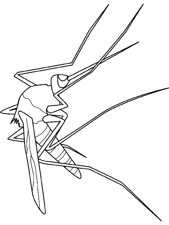 Drawing 10 from insects coloring page to print and coloring