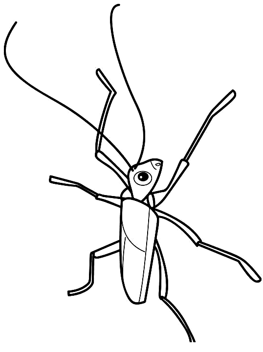Drawing 17 from insects coloring page to print and coloring