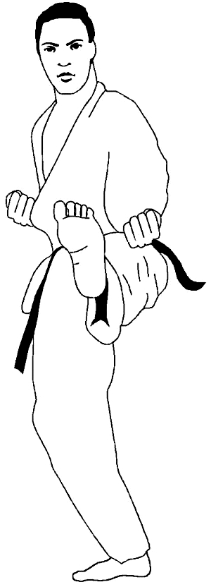 Desenho 17 de judo para imprimir e colorir