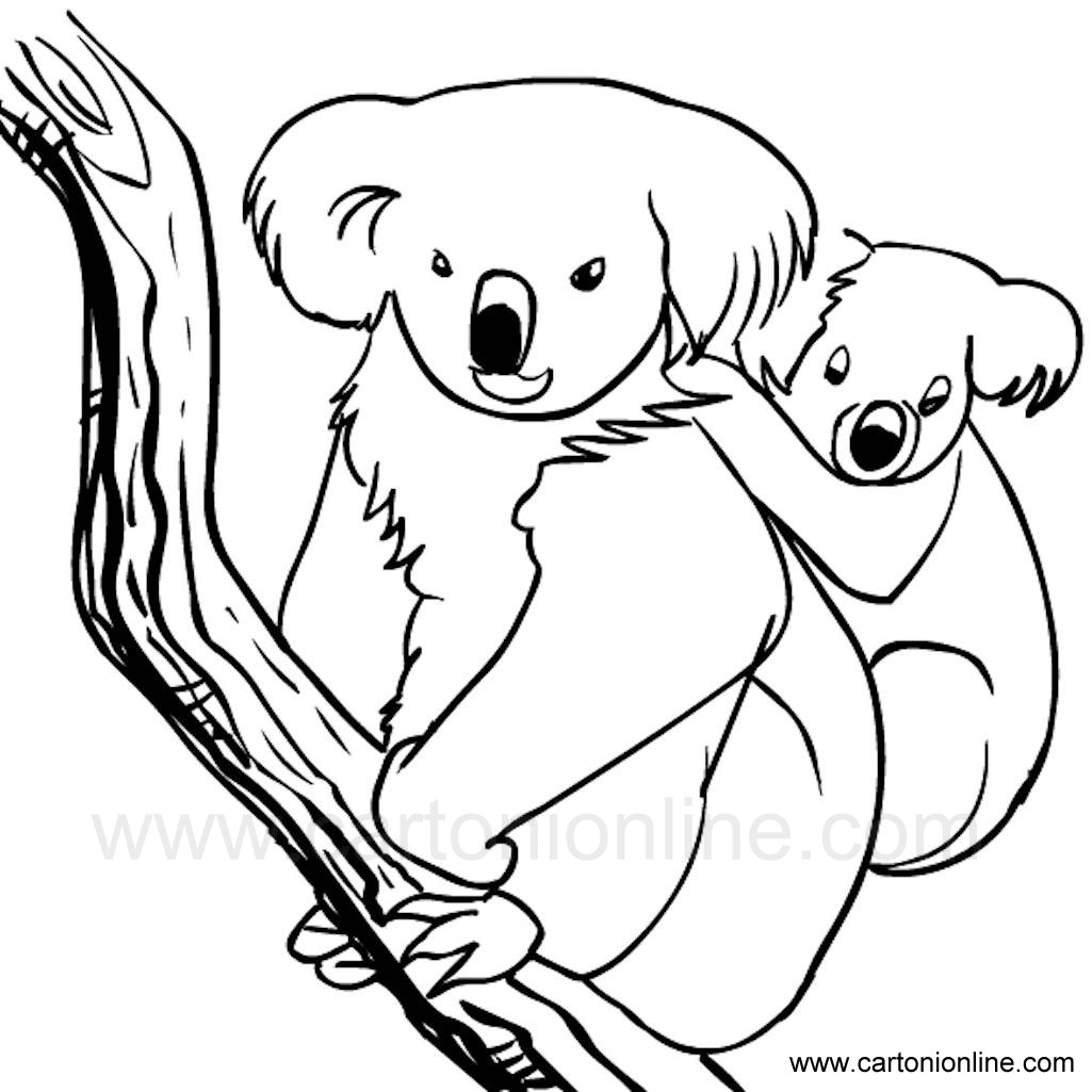 Dibujo 01 de Koala para imprimir y colorear