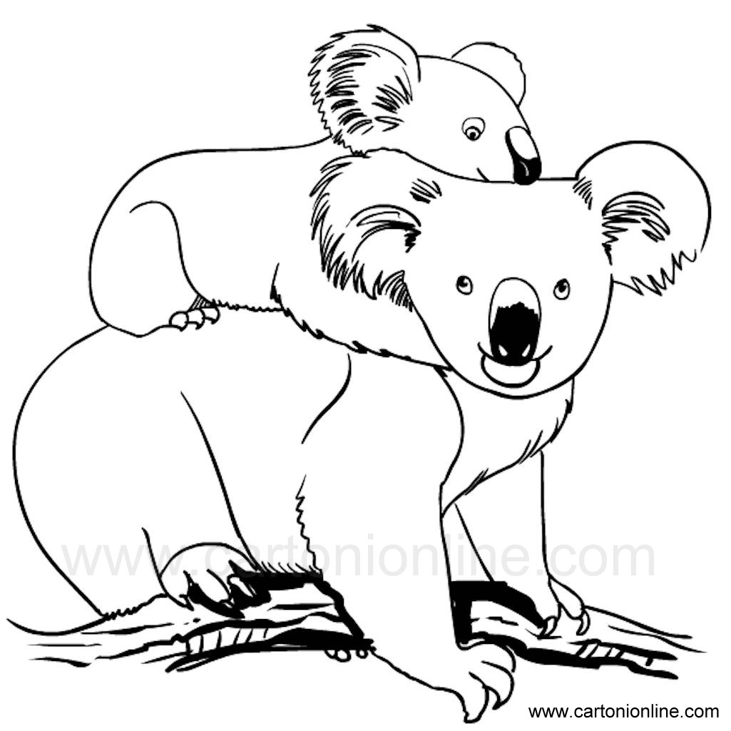 Disegno 03 di Koala da stampare e colorare