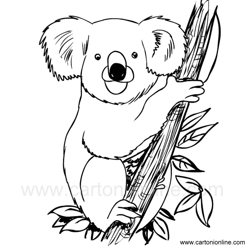 Disegno 04 di Koala da stampare e colorare