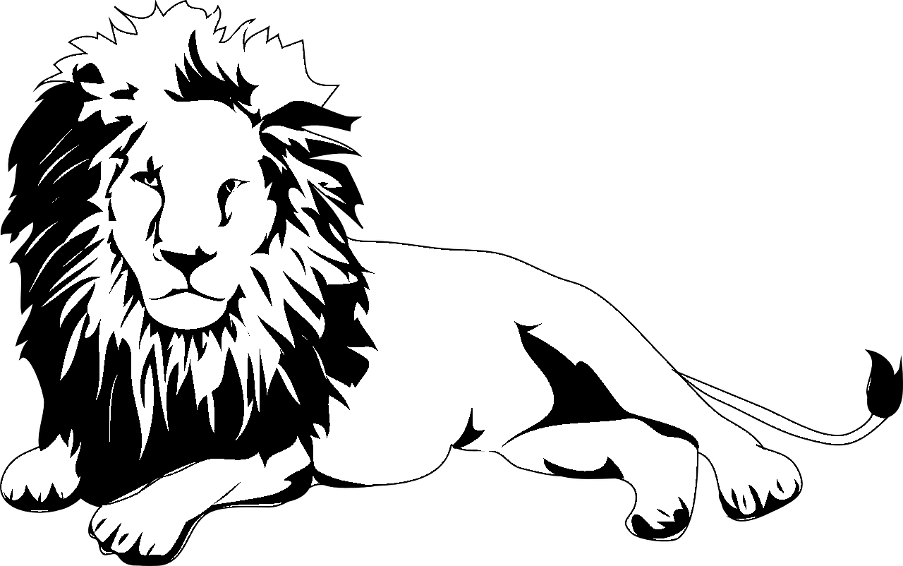 Pagina de colorat a unui leu în stil realist