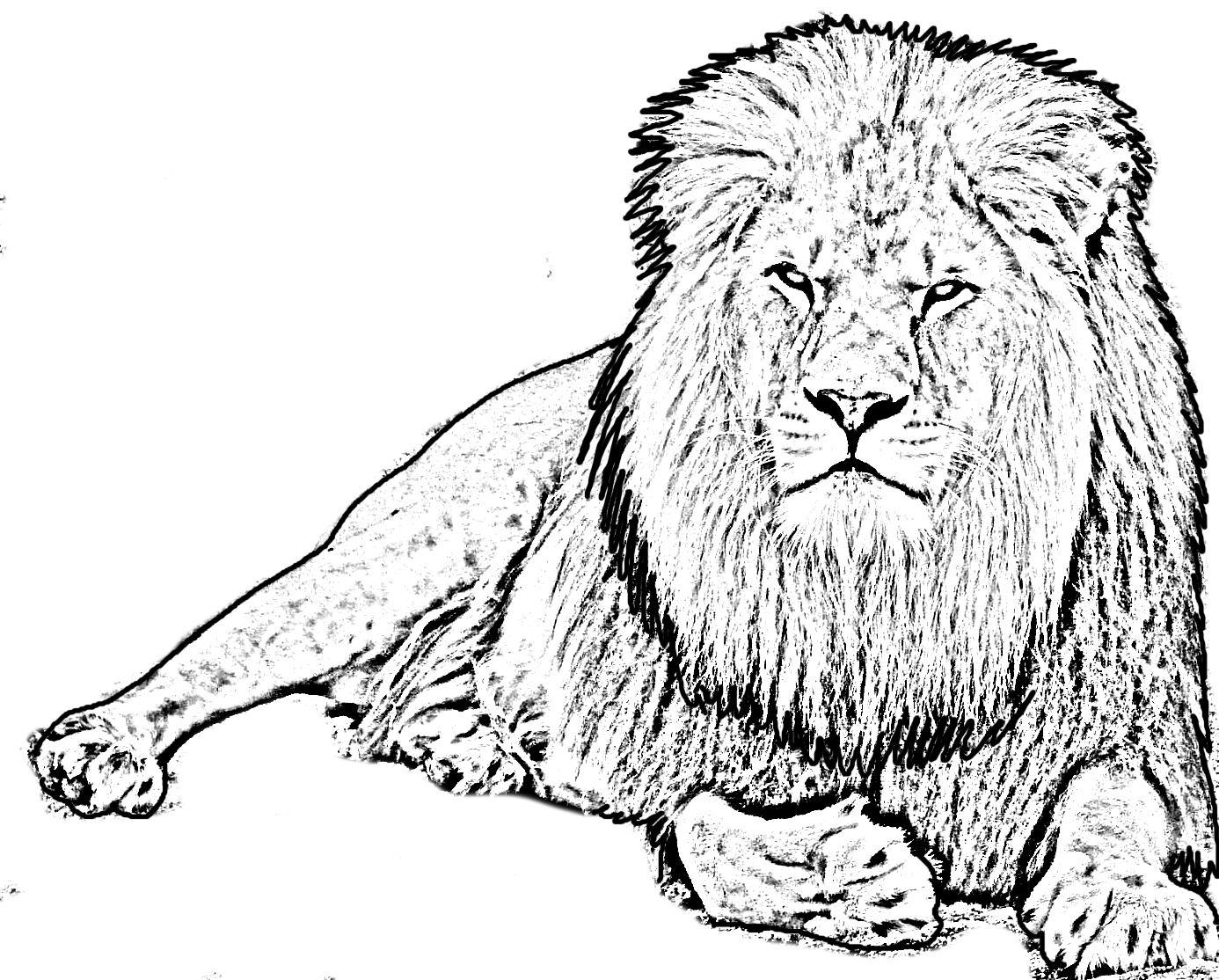 Disegno da colorare di un leone