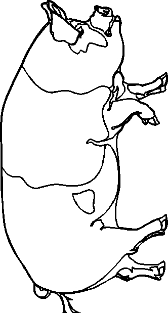 Drawing 1 from Pigs coloring page to print and coloring