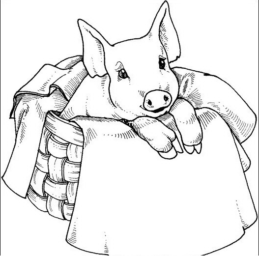 Drawing 16 from Pigs coloring page to print and coloring