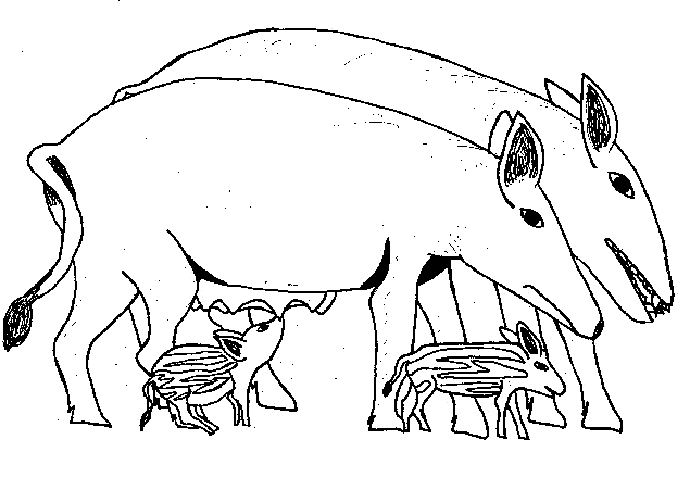 Drawing 22 from Pigs coloring page to print and coloring