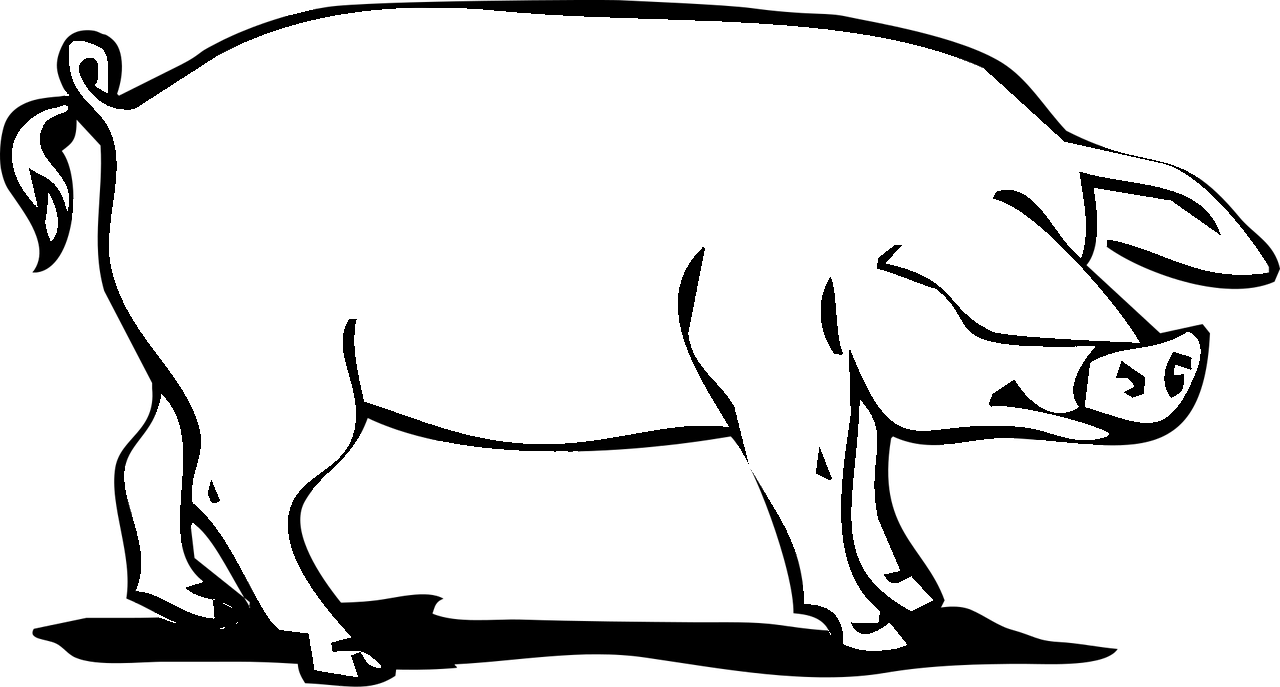 Målarbok för en gris