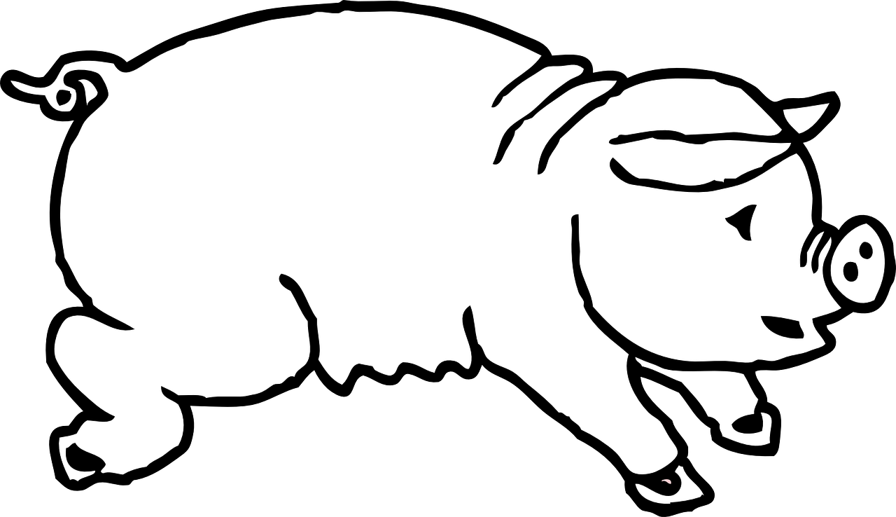 Coloring page of a pig