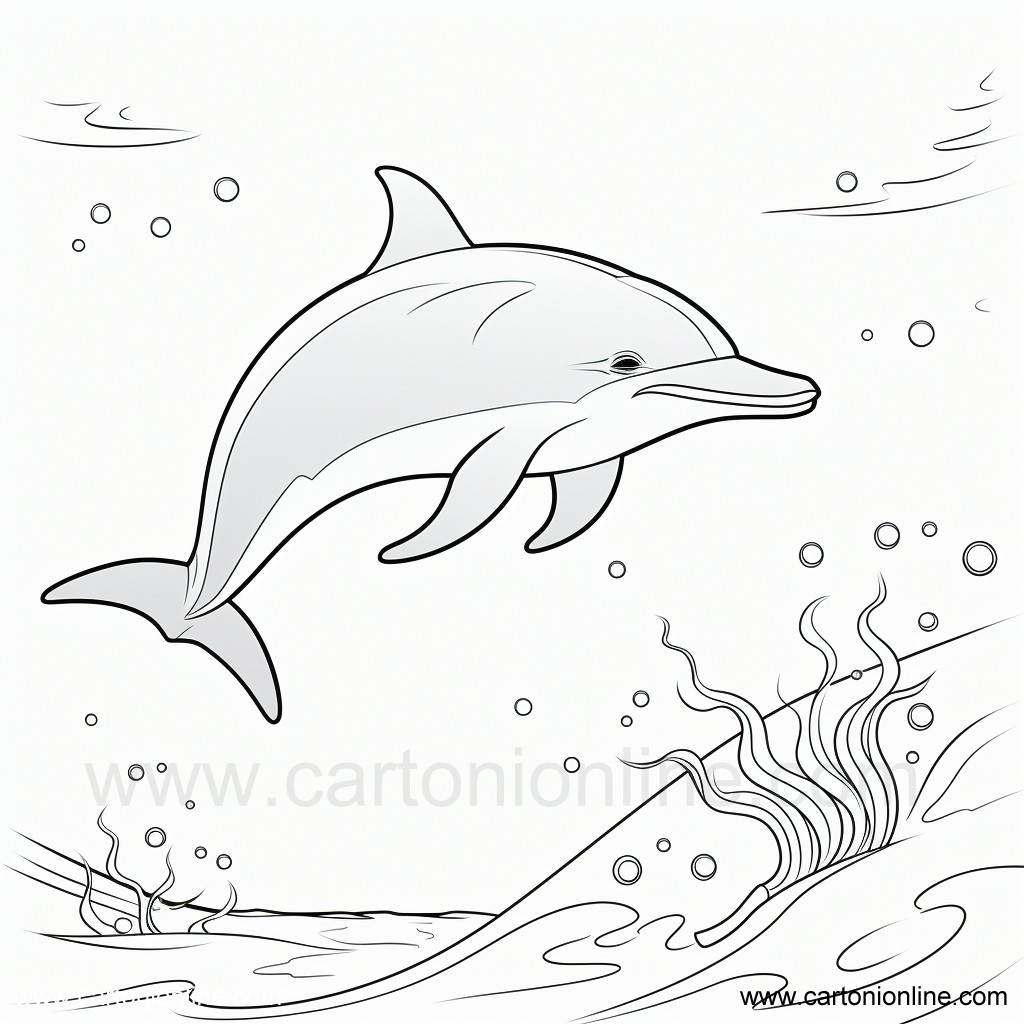sea 08  coloring page to print and coloring