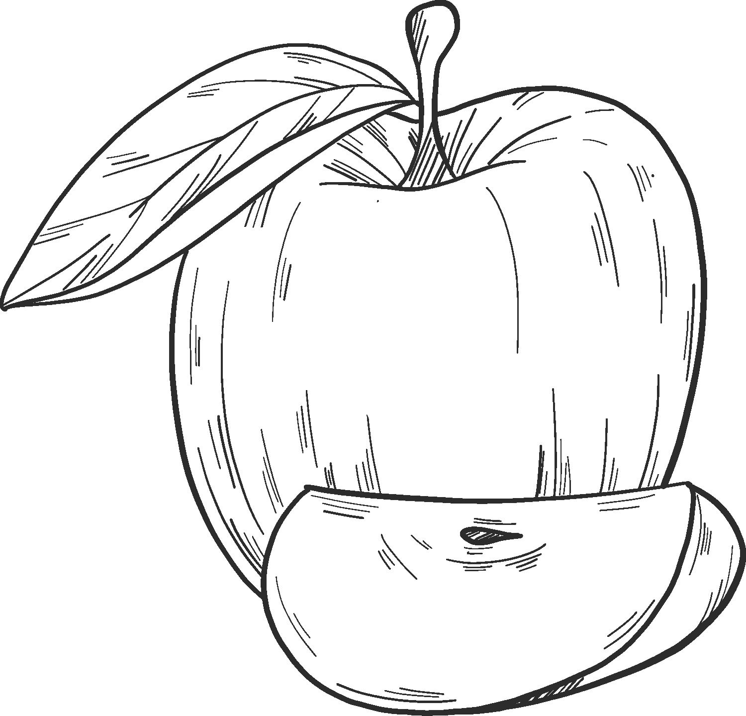 Drawing 02 of apples to color