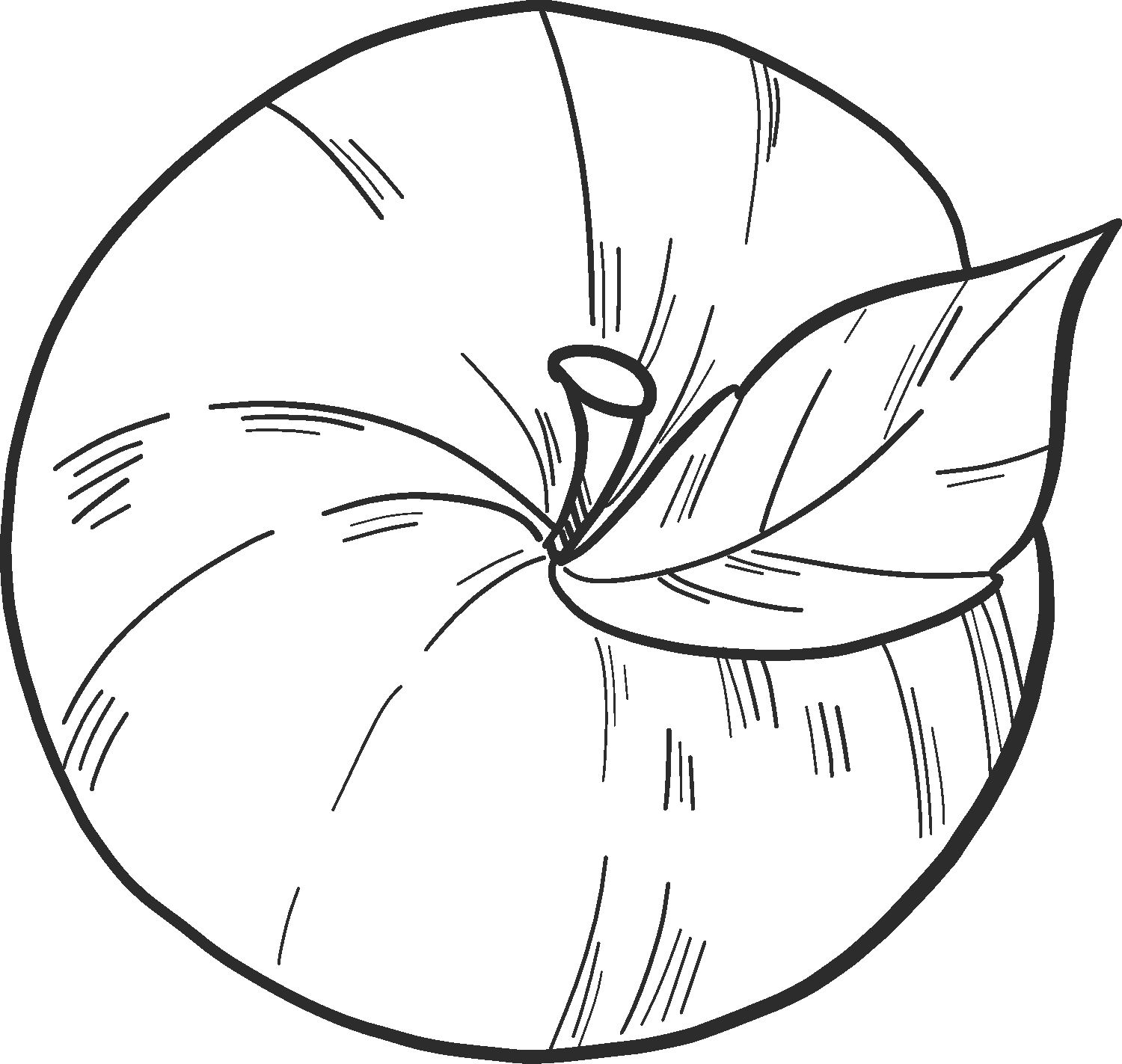 Apple 09  coloring pages to print and coloring