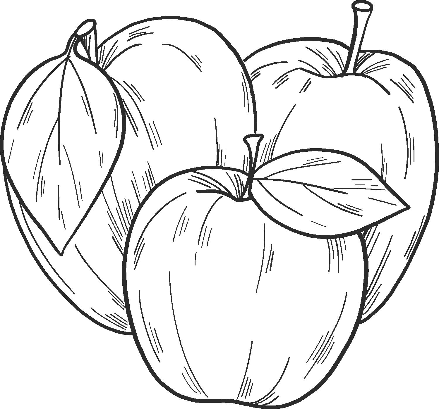 Dibujo 11 de Manzana para imprimir y colorear