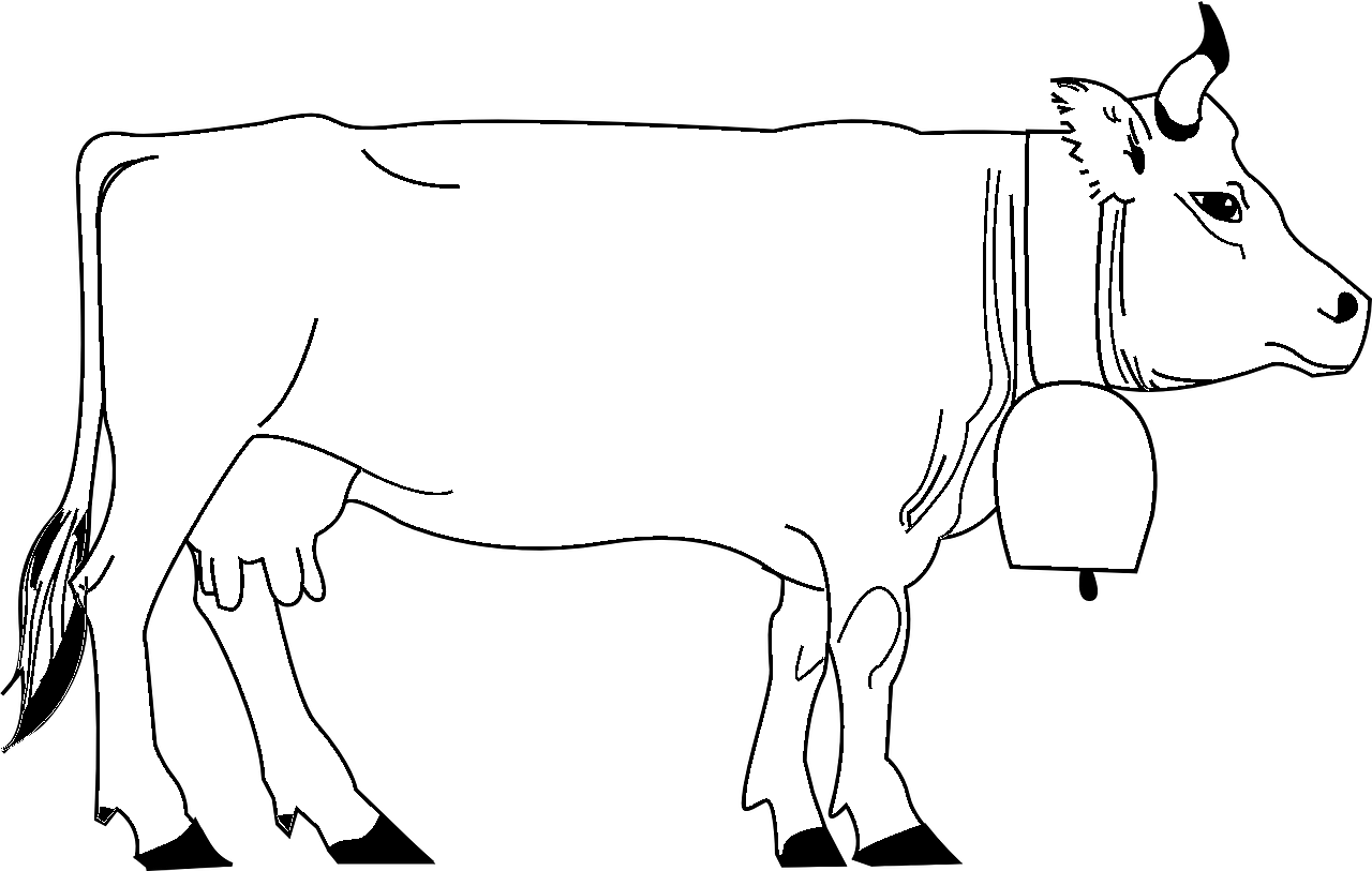 Ko målarbok med en stor cowbell