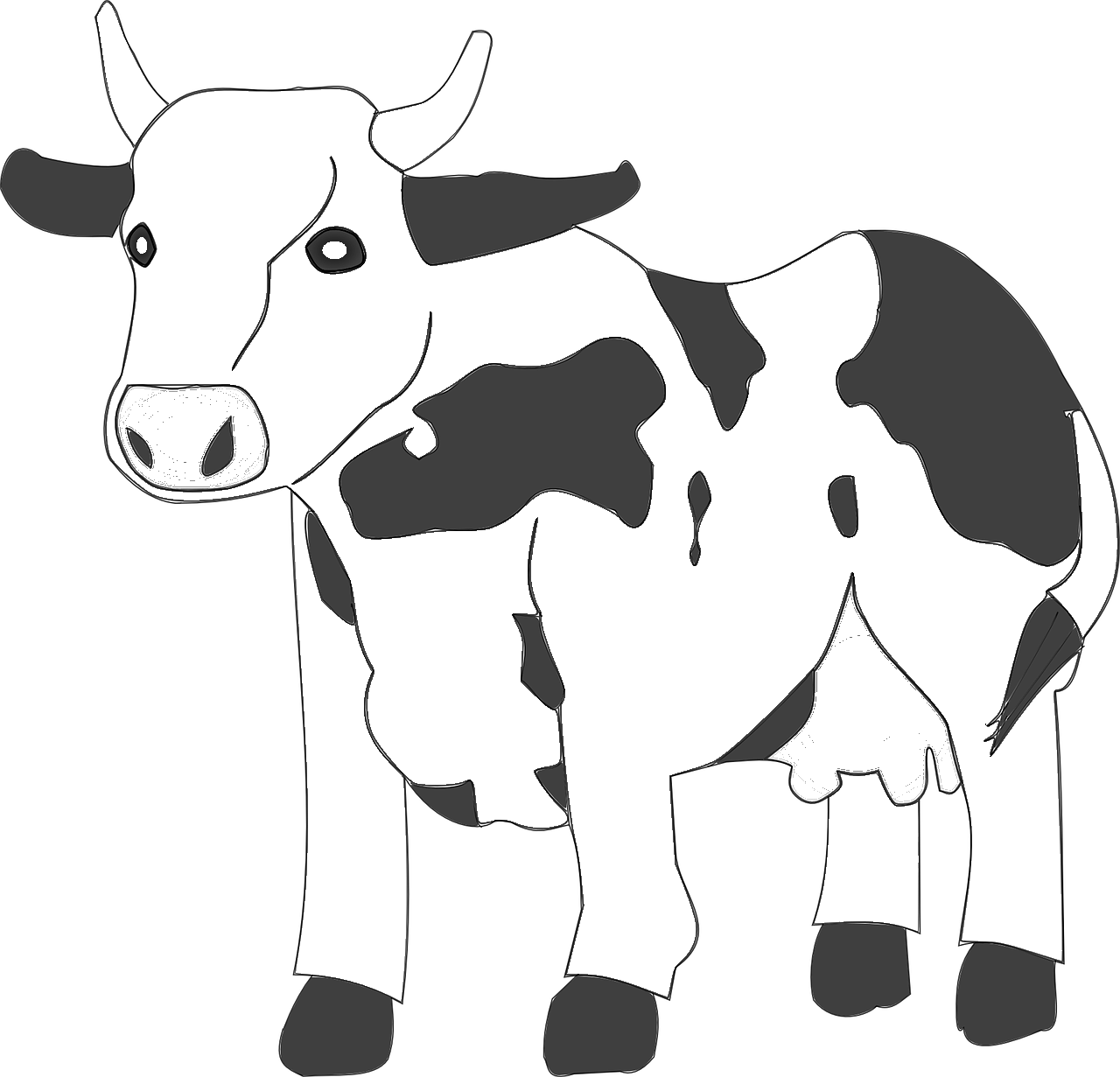 Disegno da colorare di mucca semplice