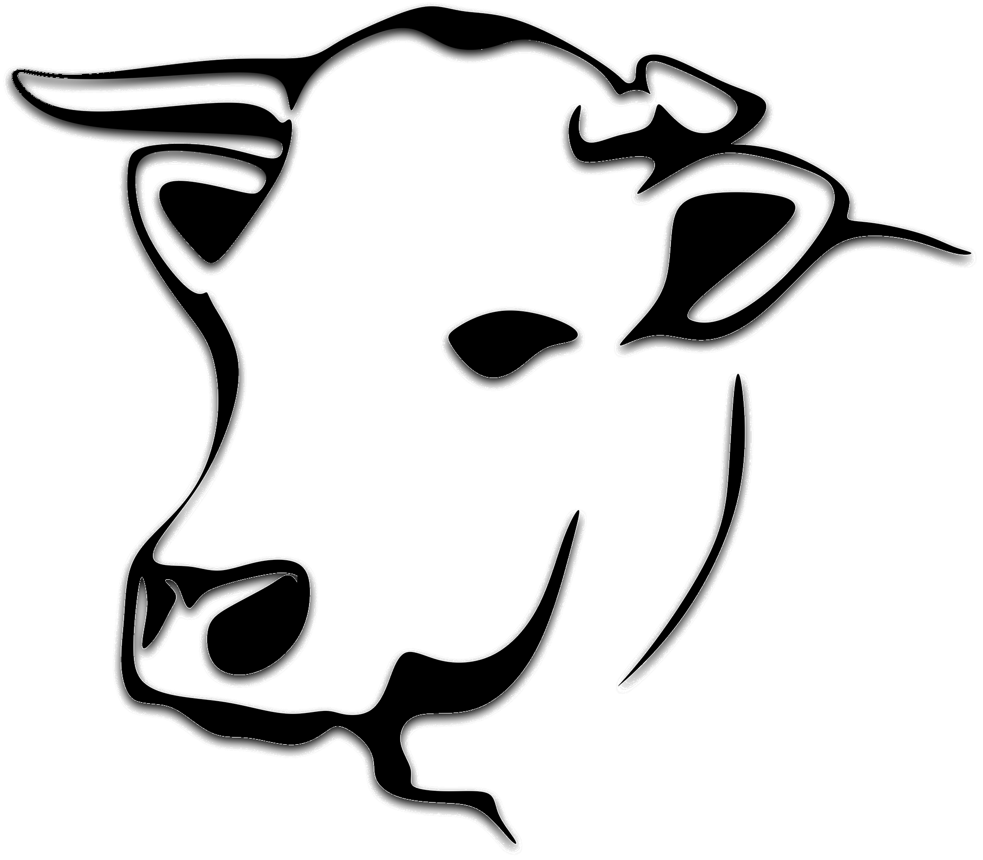 Cow Head Sketch Coloring Page