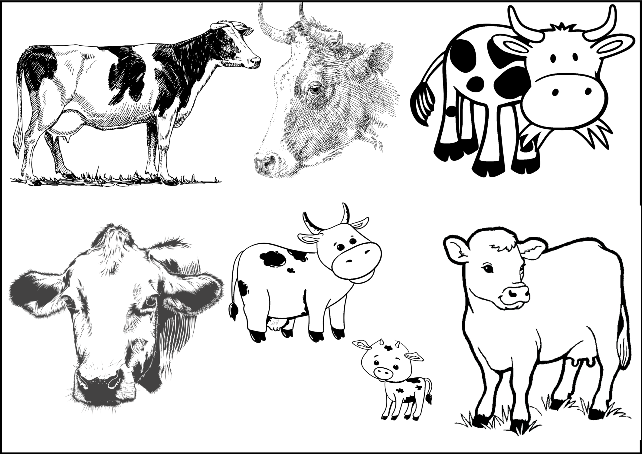 Disegno da colorare di mucche