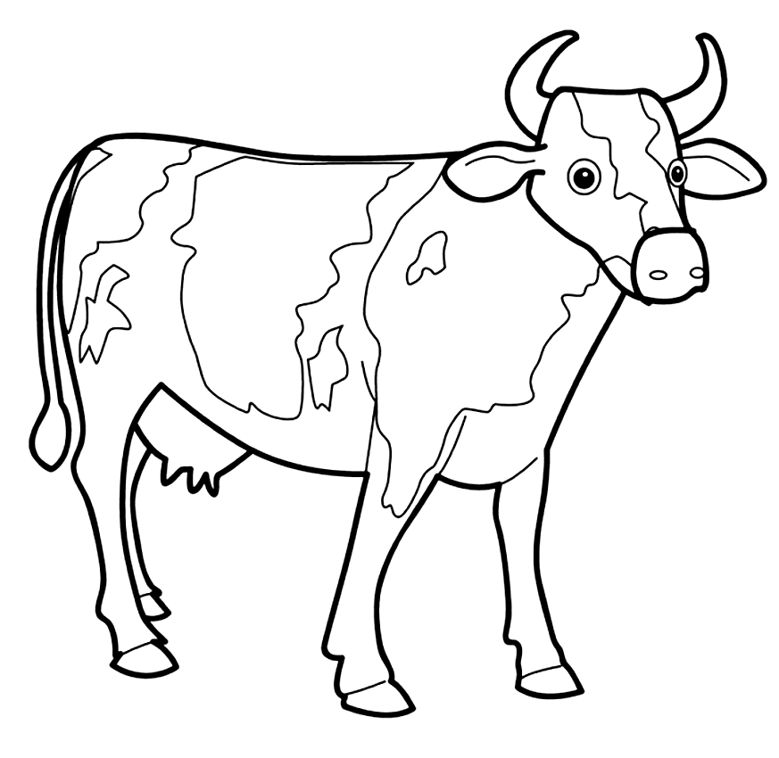 Tekening van koeien om af te drukken en te kleuren