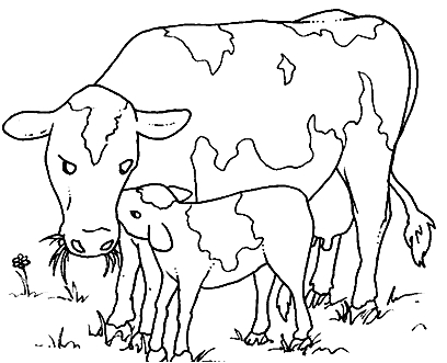 Disegno 22 di mucche da stampare e colorare