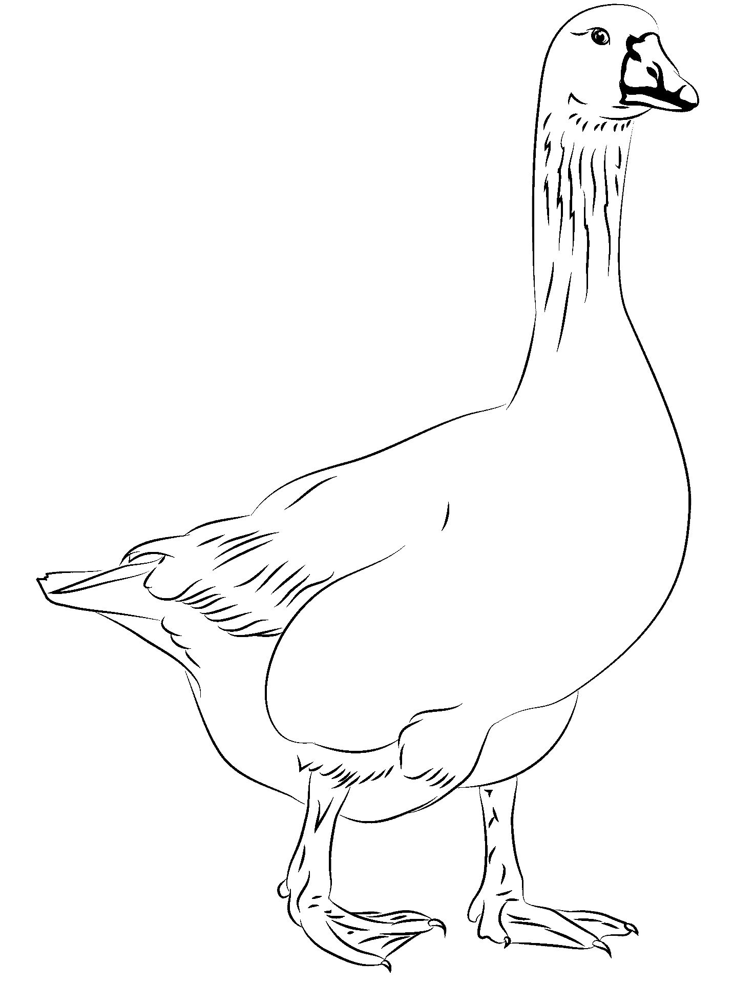 Coloring page of a goose