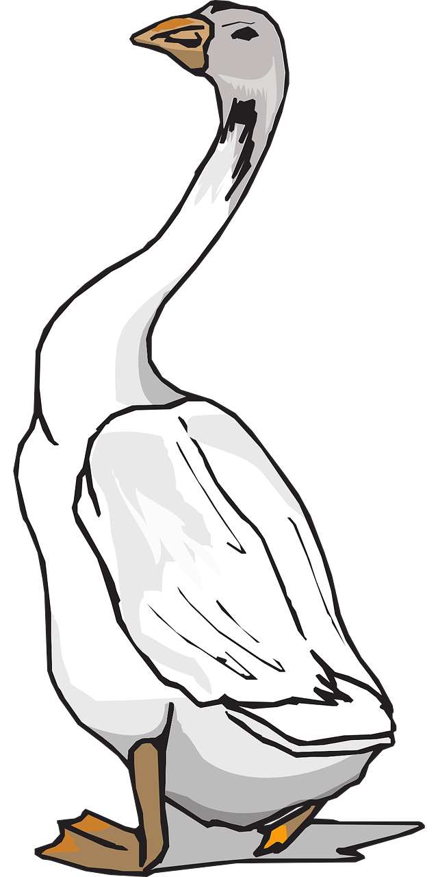 Dibujo para colorear de un ganso