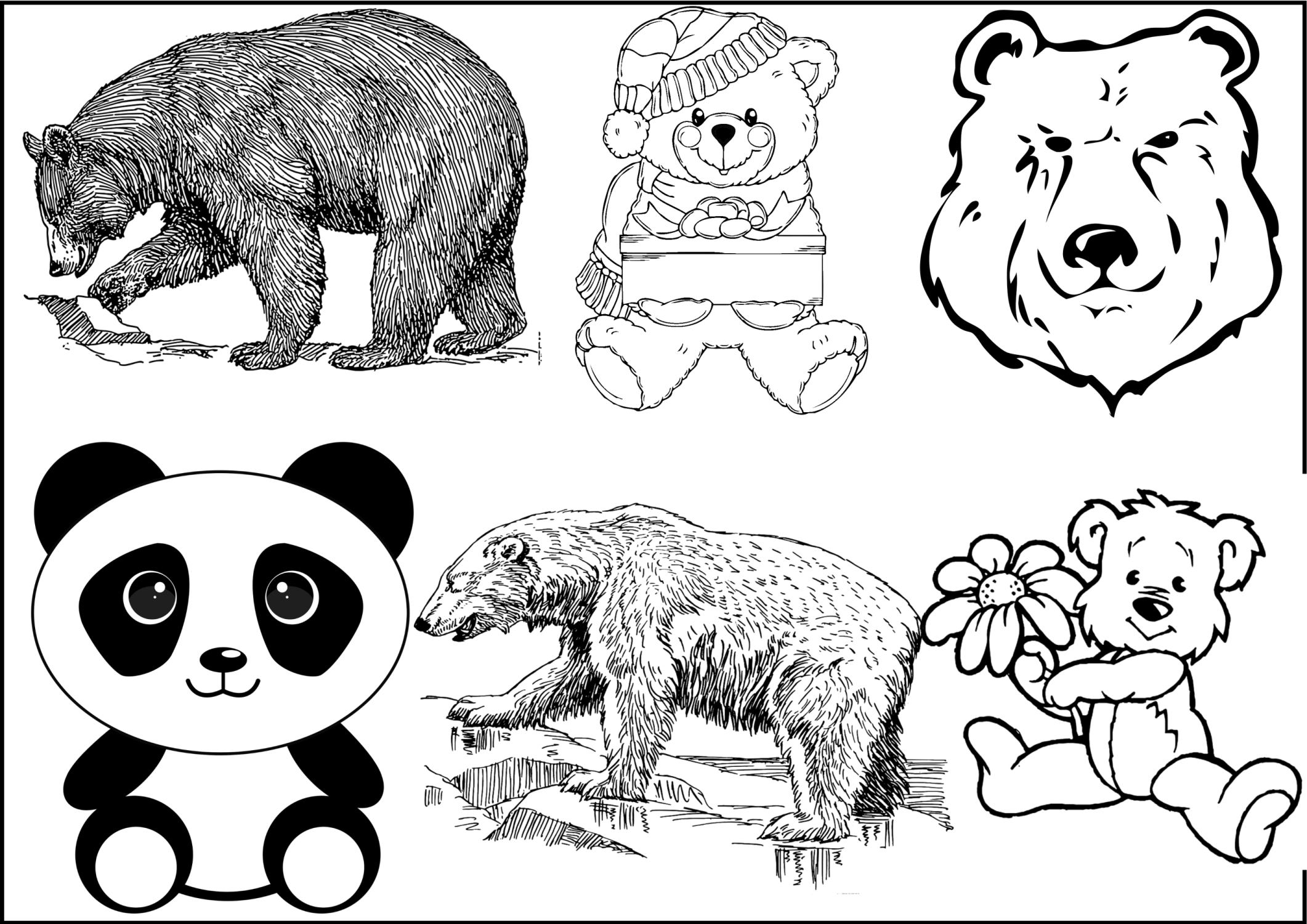 クマの絵ぬり絵 142枚の絵を印刷する