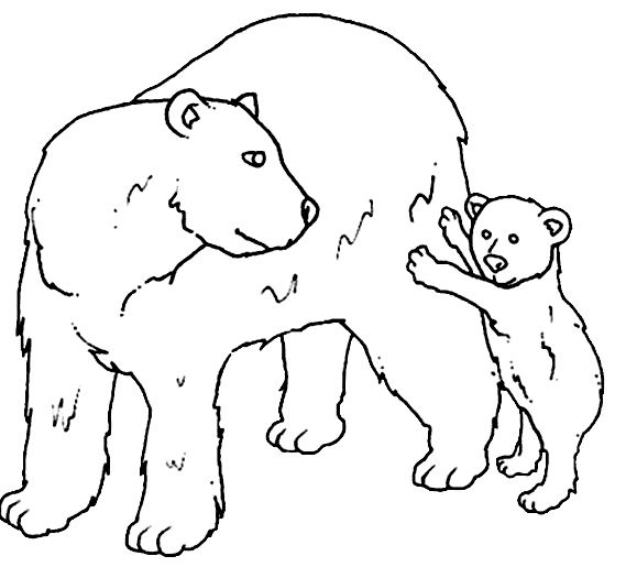 Dessin 7 des ours à imprimer et colorier