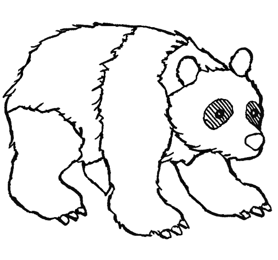 Disegno di orsi da stampare e colorare